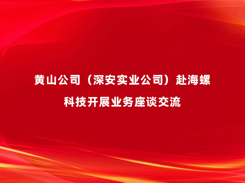 黃山公司（深安實(shí)業(yè)公司）赴海螺科技開(kāi)...